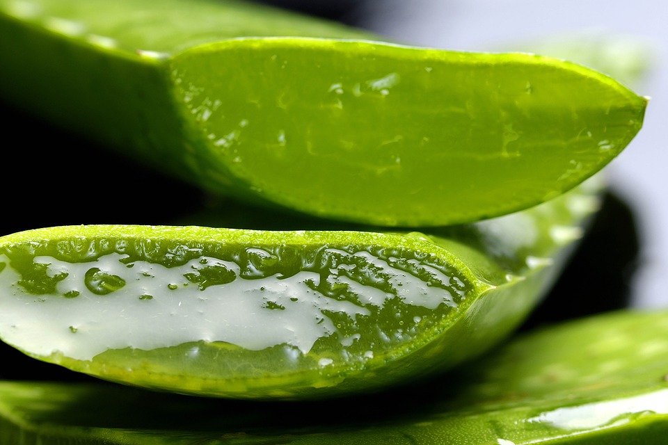 gel uit het aloe vera blad. Bio is Gezond, imuunversterking, detox, reiniging.