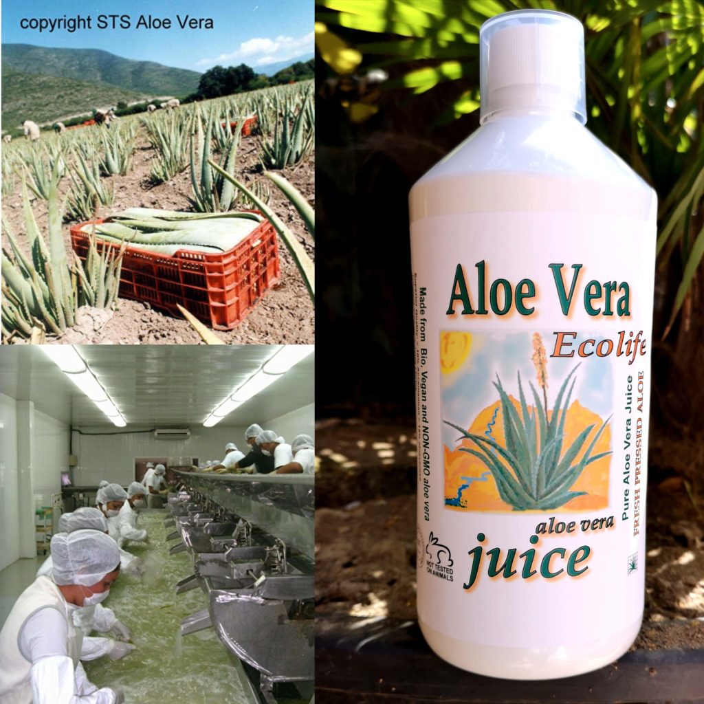 aloe vera juice - biologisch - bio aloë is gezond