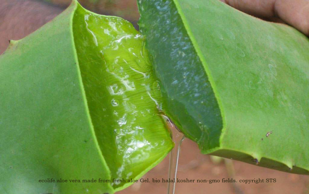 aloe vera huid aloë gel - ecolife